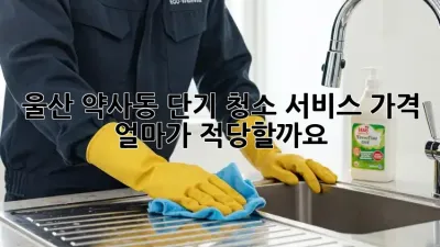 울산 약사동 단기 청소 서비스 가격, 얼마가 적당할까요?